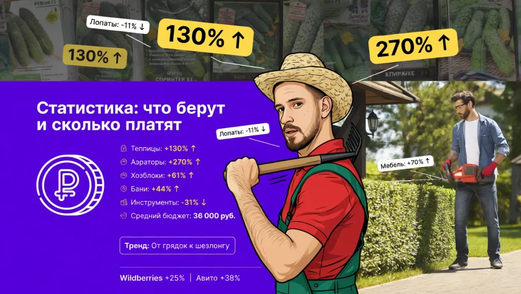 Статистика: что берут и сколько платят